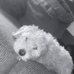 Bentley James Oberlin😌 - @bentl_eythedoodle - Instagram