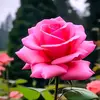 James Obiki - @james.obiki - TikTok