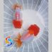 James Oblak - Facebook