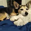 James Offerman - @james.offerman - TikTok