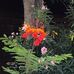 James Offutt - Facebook