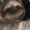 jamesohlinger710 - @jamesohlinger710 - TikTok