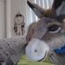 James Ohnesorge - Facebook