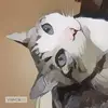 james_okada - @james_okada - TikTok