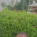 James Okello - Facebook