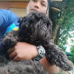 James Olalia - Facebook