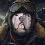 James - @james_old.english_bulldog - Instagram