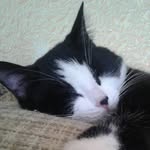 James Oldendick - @jamesoldendick - Instagram