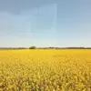 James Olivas - @jamesolivas7998 - TikTok
