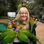 James Olson Brent - @james_olson_aviary - Instagram