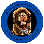 @jameson_iamnotabear - Instagram