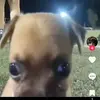 I’mlockedin - @jamesonhuska - TikTok