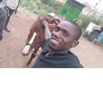James Onyango - @jamesonyango82 - Instagram