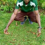 James opara - @opara3428 - Instagram