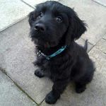 James Oram - @topbananaboy - Instagram
