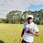 Orange Elveteen James - @jamesorange16 - Instagram