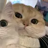 ur_hubby25 - @jethro.james.oren - TikTok