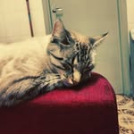 James Orenstein - @gempaklubiz - Instagram