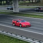 James Orgeron - @pwpspspsoelek - Instagram