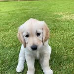 James Orpin - @james_orpin - Instagram