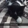 James Orr - @jamesorr5 - TikTok