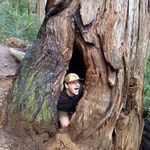James Orrell - @bigblubberywhale - Instagram