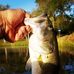 James Orsak - Facebook