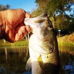 James Orsak - @james.orsak.58 - Instagram