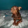 Jhon James Ortegon - @jhonjamesortegon - TikTok