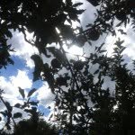 James Orwell - @jamesorwell99 - Instagram