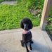 James Orwig - Facebook