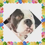 Helix James Oryon - @james_oryon - Instagram