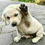 James Osbourne - @james.osbourne.505 - Instagram