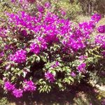James Osorio - @james.osorio.3532 - Instagram