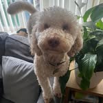 James O'Toole - @jameso5866 - Instagram