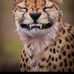 James Otterson - Facebook