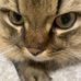 James Ouimette - Facebook
