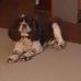 James Oulch - Facebook