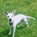 James Overholt - Facebook