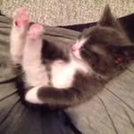 James Packman - @i_is_packman - Instagram