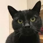 James Painter - @painterjames07 - Instagram