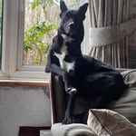 James Painter - @james.painter.161 - Instagram