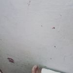 james - @james_palen9 - Instagram