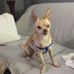 James Papageorge - Facebook