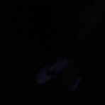 James Pardee - Facebook