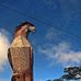 James Pardo - Facebook