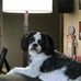 James Pardo - Facebook