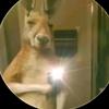 james pardo - @james.pardo25 - TikTok