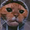 jameson.pardo - @jameson.pardo - TikTok