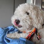 James Parshall - @james.parshall - Instagram